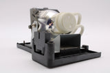 AL™ Series Lamp & Housing for The BenQ W600 Projector - 90 Day Warranty