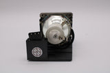 AL™ Series Lamp & Housing for the BenQ W500 Projector - 90 Day Warranty