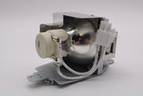 AL™ Series Lamp & Housing for The BenQ DX842UST Projector - 90 Day Warranty