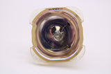 65.J4002.001-BULB