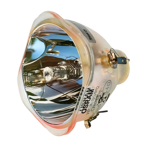 PD321 Bulb