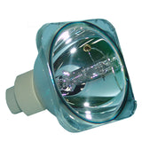 C3X Lumis Host Bulb