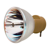 H7531D Bulb