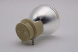 Jaspertronics™ OEM Lamp (Bulb Only) for The Vivitek D519 Projector with Osram bulb inside -  1 Year Warranty