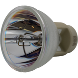 EX521 Bulb