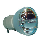 HD8300 Bulb