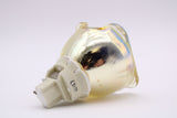 AL™ Series 5J.J4D05.001 Lamp (Bulb Only) for BenQ Projectors - 90 Day Warranty