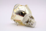 AL™ Series 5J.J4D05.001 Lamp (Bulb Only) for BenQ Projectors - 90 Day Warranty