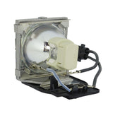 AL™ Series 9E.0C101.001 Lamp & Housing for BenQ Projectors - 90 Day Warranty