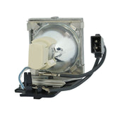 AL™ Series 9E.0C101.001 Lamp & Housing for BenQ Projectors - 90 Day Warranty