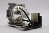 AL™ Series 9E.0CG03.001 Lamp & Housing for BenQ Projectors - 90 Day Warranty