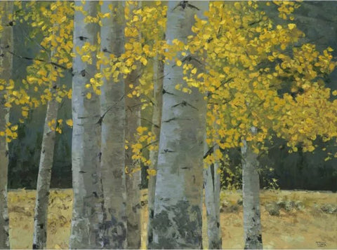 Aspen Grove by Tim Breaux - Canvas Giclee Limited Edition Signed & Numbered 200 - 30 x 40