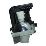 AL™ Series EC.J4301.001 Lamp & Housing for Acer Projectors - 90 Day Warranty