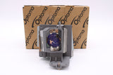 Optoma SP.70701GC01 Lamp & Housing for Optoma Projectors - 1 Year Warranty