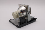 AL™ Series Lamp & Housing for The Vivitek D952HD Projector - 90 Day Warranty