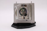 AL™ Series BL-FU190D Lamp & Housing for Optoma Projectors - 90 Day Warranty