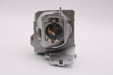 AL™ Series Lamp & Housing for The Optoma HD29H Projector - 90 Day Warranty