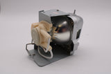 AL™ Series Lamp & Housing for The Optoma VDUHDSZ Projector - 90 Day Warranty