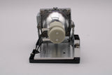 AL™ Series Lamp & Housing for The Vivitek D967-WT Projector - 90 Day Warranty