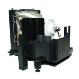 Jaspertronics™ OEM Lamp & Housing for The Liesegang dv540 Projector with Ushio bulb inside - 240 Day Warranty