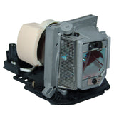 AL™ Series EC.J6900.001 Lamp & Housing for Acer Projectors - 90 Day Warranty