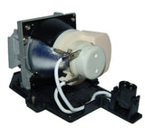 AL™ Series EC.J6900.001 Lamp & Housing for Acer Projectors - 90 Day Warranty