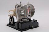 AL™ Series EC.J8700.001 Lamp & Housing for Acer Projectors - 90 Day Warranty