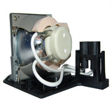 AL™ Series EC.JBU00.001 Lamp & Housing for Acer Projectors - 90 Day Warranty