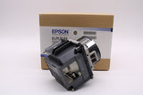 OEM Lamp & Housing for the Pro G7905U Projector - 1 Year Jaspertronics Full Support Warranty!