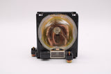 Jaspertronics™ OEM Lamp & Housing for The Panasonic PT-L759 Projector - 240 Day Warranty