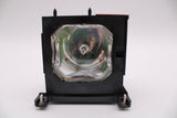 AL™ Series Lamp & Housing for The Sony VPL-VW50 Projector - 90 Day Warranty