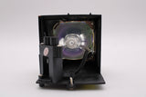 AL™ Series Lamp & Housing for The Sony VPL-VW40 Projector - 90 Day Warranty