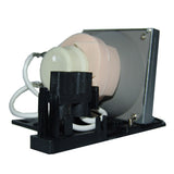 AL™ Series Lamp & Housing for The Acer P1163 Projector - 90 Day Warranty