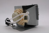 AL™ Series Lamp & Housing for The NEC NP-V332WJD Projector - 90 Day Warranty