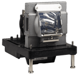 AL™ Series 456-9010 Lamp & Housing for Dukane Projectors - 90 Day Warranty