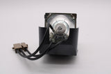 AL™ Series 5J.01201.001 Lamp & Housing for BenQ Projectors - 90 Day Warranty