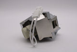 AL™ Series Lamp & Housing for The Viewsonic PJD5153 Projector - 90 Day Warranty