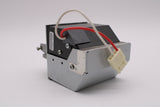 AL™ Series SP-LAMP-024 Lamp & Housing for Infocus Projectors - 90 Day Warranty